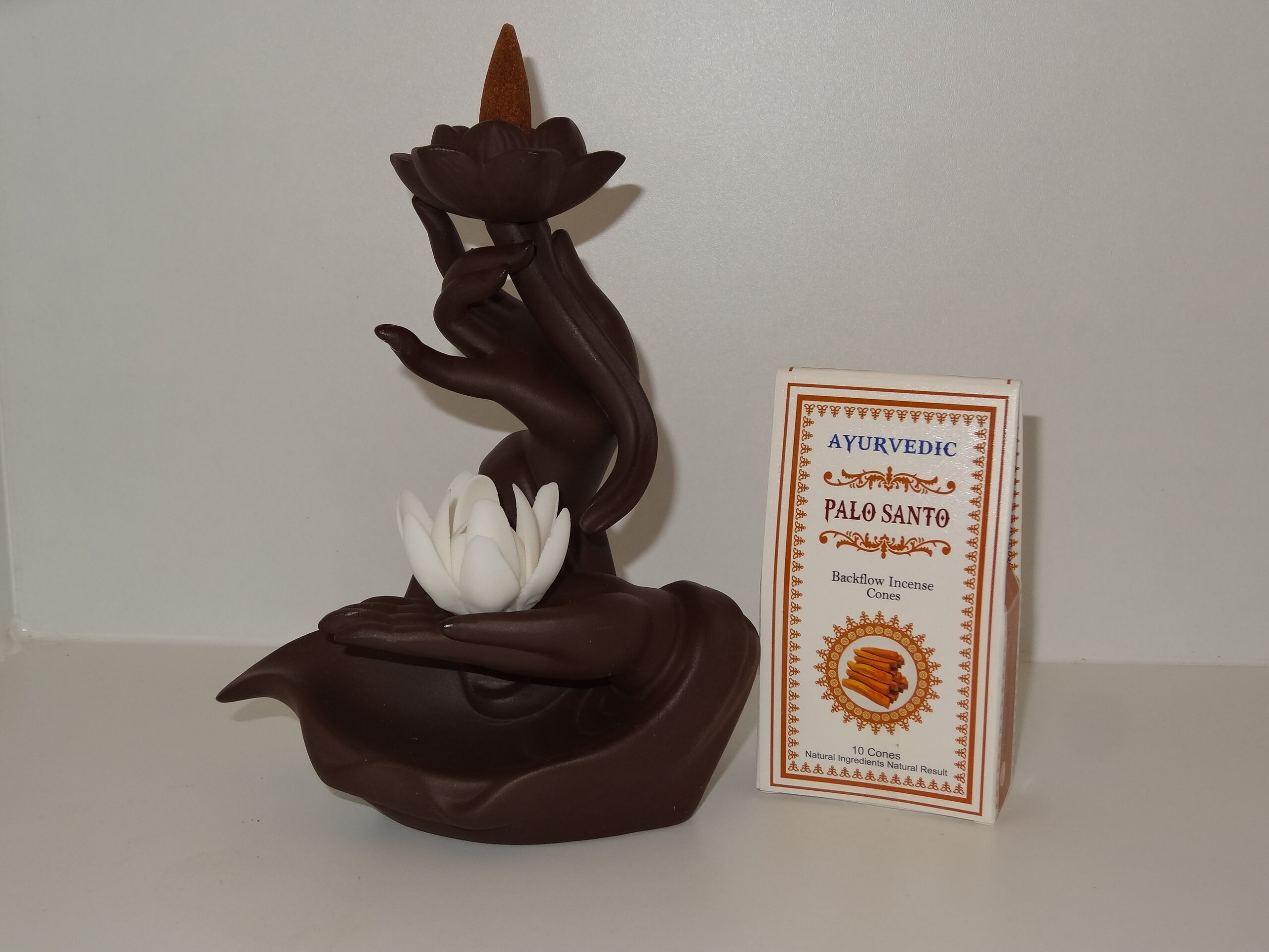 Backflow brander hand met Lotus bloem met Palo Santo kegels Backflow brander hand met Lotus bloem met Palo Santo kegels